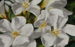 Debora Wilbert - White Oleander
