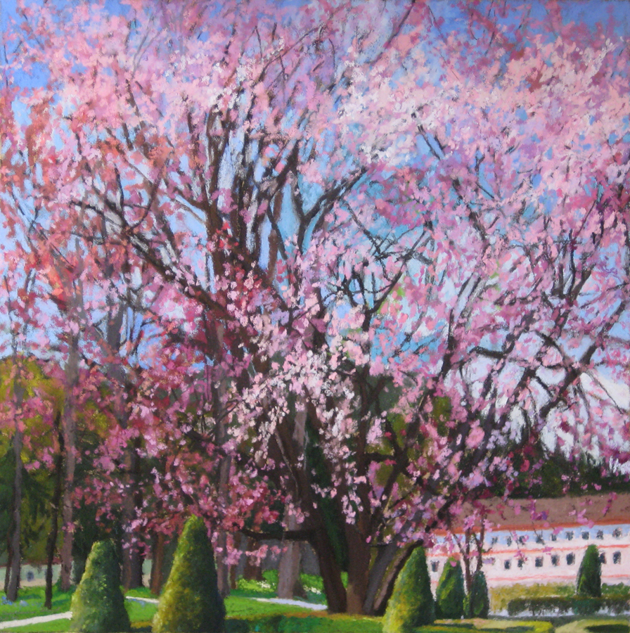 Title: Cherry Blossoms Artist: Shoshanna Ahart